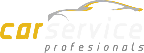 Profesionals